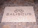 Baliscus